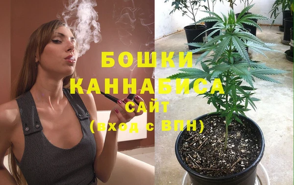 прущие грибы Абдулино