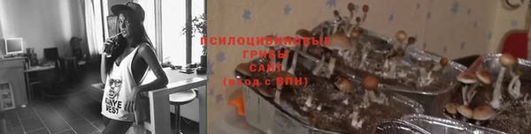 apvp Алексеевка
