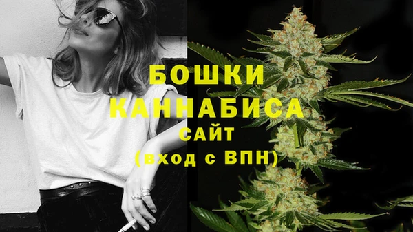 прущие грибы Абдулино