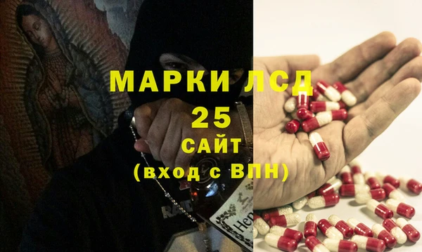 прущие грибы Абдулино