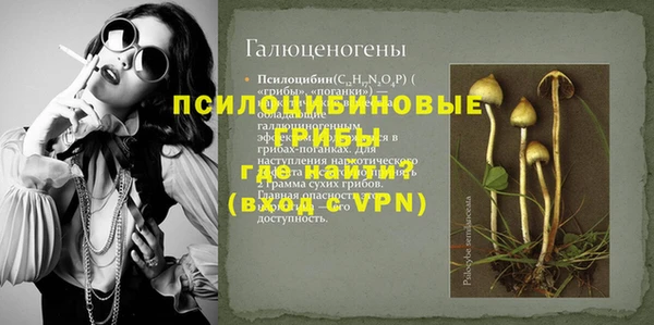 герыч Алексин