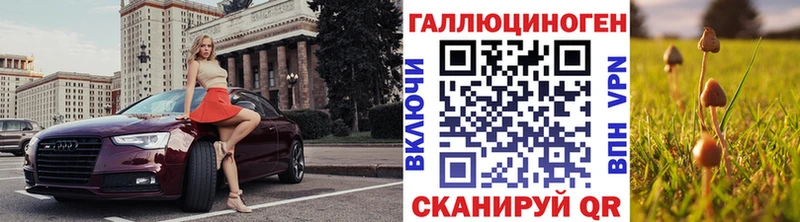 Псилоцибиновые грибы Cubensis  Инсар 